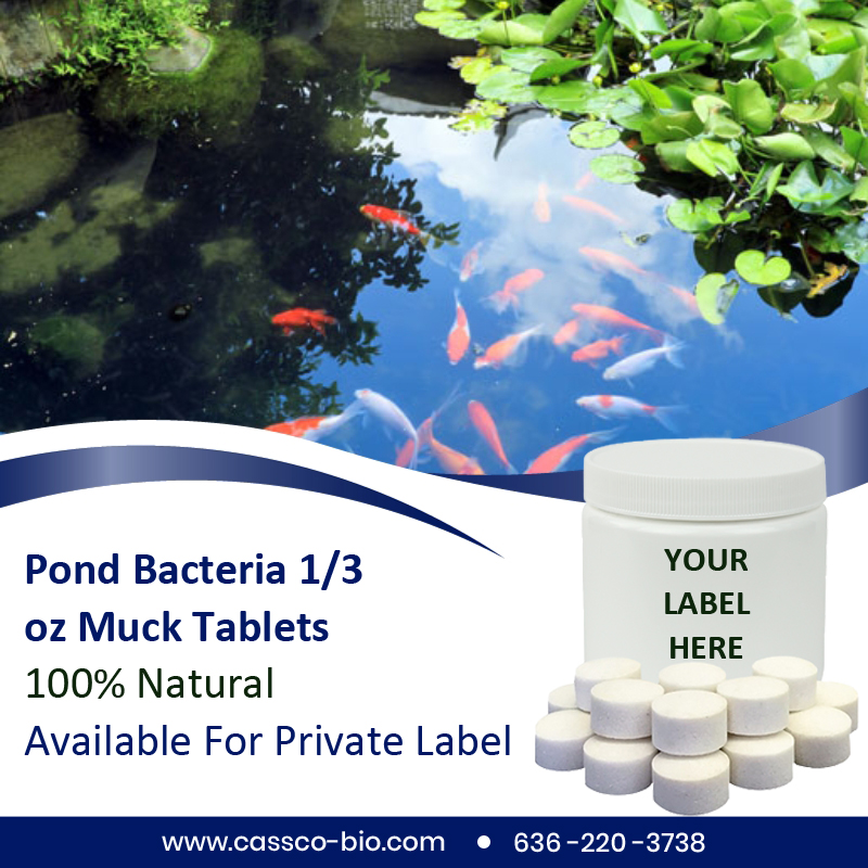 CassCo has been producing and private labeling natural products for over 25 years. Our muck tablets are 100% natural and contain beneficial pond bacteria. They immediately sink to the bottom of the pond to remove the bottom sludge (muck). #pondsupplies #backyardwaterfall