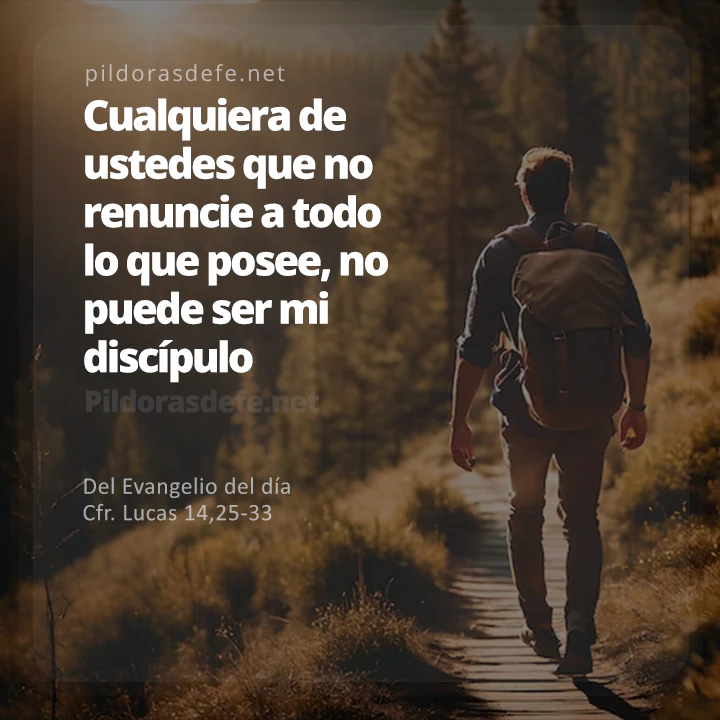 ⊹
🚨 El discípulo de Jesús renuncia a todos los bienes, porque ha encontrado en Dios el Bien más grande... El cristiano se desprende de todo y reencuentra todo en la lógica del Evangelio, la lógica del amor y el servicio. (Papa Francisco)
⊹