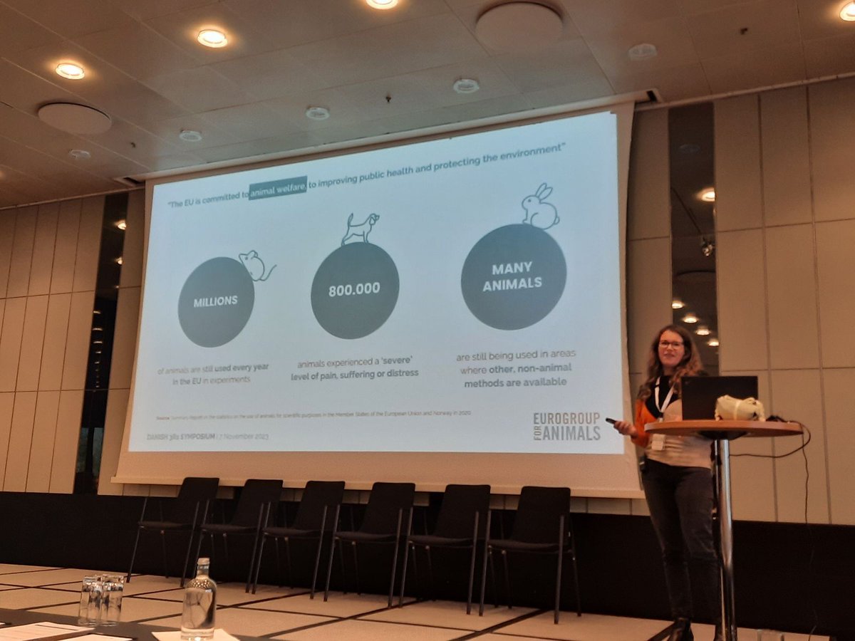 Act4AnimalsEU's tweet photo. The 🇩🇰 3R Symposium organised by @Info3r brings together multiple stakeholders to find solutions to replace #AnimalsInScience. 🐁❤️
We were happy to join regulators, industry, academia & end-users to help close the gaps in the transition to #NonAnimalScience. https://t.co/FyEOnTiid8