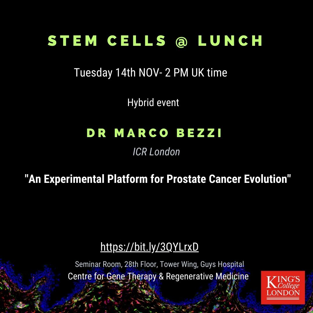 📢Next Stem cells @ Lunch happening next Tuesday 14th Nov 2PM UK time, We are excited to have Dr. Marco Bezzi (@BezziLab_ICR) for this fantastic event. Join us in person or online !!!!! @ICR_London @kingsmedicine