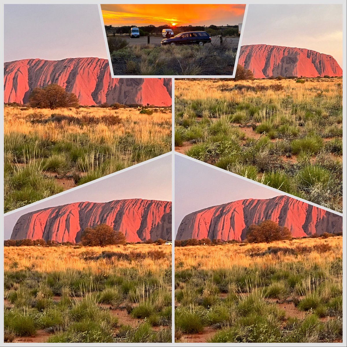 bkuni's tweet photo. Meine Impressionen von heute: erst Rundflug, dann Sonnenuntergang am Uluru
#downundertour #aatkings https://t.co/L9odjbftnf