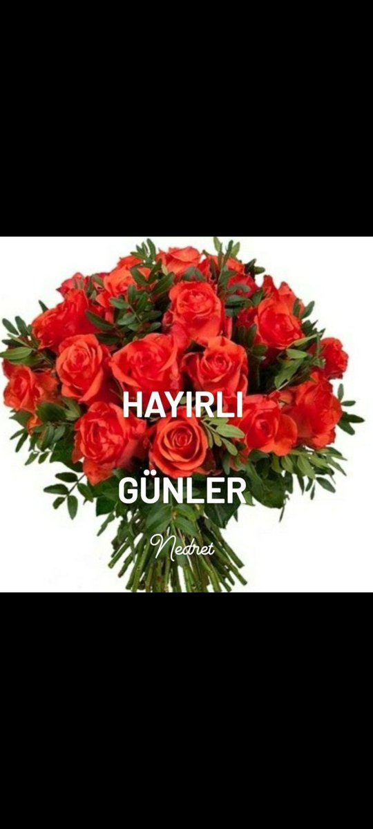 @Sleyman01880732 @aysedogan1955 @NeslihanNazik1 @yusufbozan0234 @EsinO648_TRYY23 @_Ahde__vefaa @senai44 @TurabUmay5535 @ozguryilmaz0303 @Gulefendi_1903 @Elmasnazli99 @selamolsun_4006 @EmrahKars_ @umayturab3555 @ece_bayrakci35 @Ferhat__1453 @LARMINA__ @_HanimAtes @Fatma14533445 @hasanunalll @emineip52294769 @ReisbeyHuseyin @RamazanTurmu34 @kalbi_duam2023 @RahmanSimsek_TR @2023_76 @_Tu_ran_ @Arzu87811114 @AKPartiArguvan @nizamialem355 @YusufDe17664055 @ordulu_52_yusuf @YusufKu62541226 @mhrrmislamoglu @UgurGokmen0606 @umutburak13971 @HAN_DAN_1 @uziTURGttinta @AzizeUluderya @Sleyman00972521 @AkPartiliyi2 @ksn0215