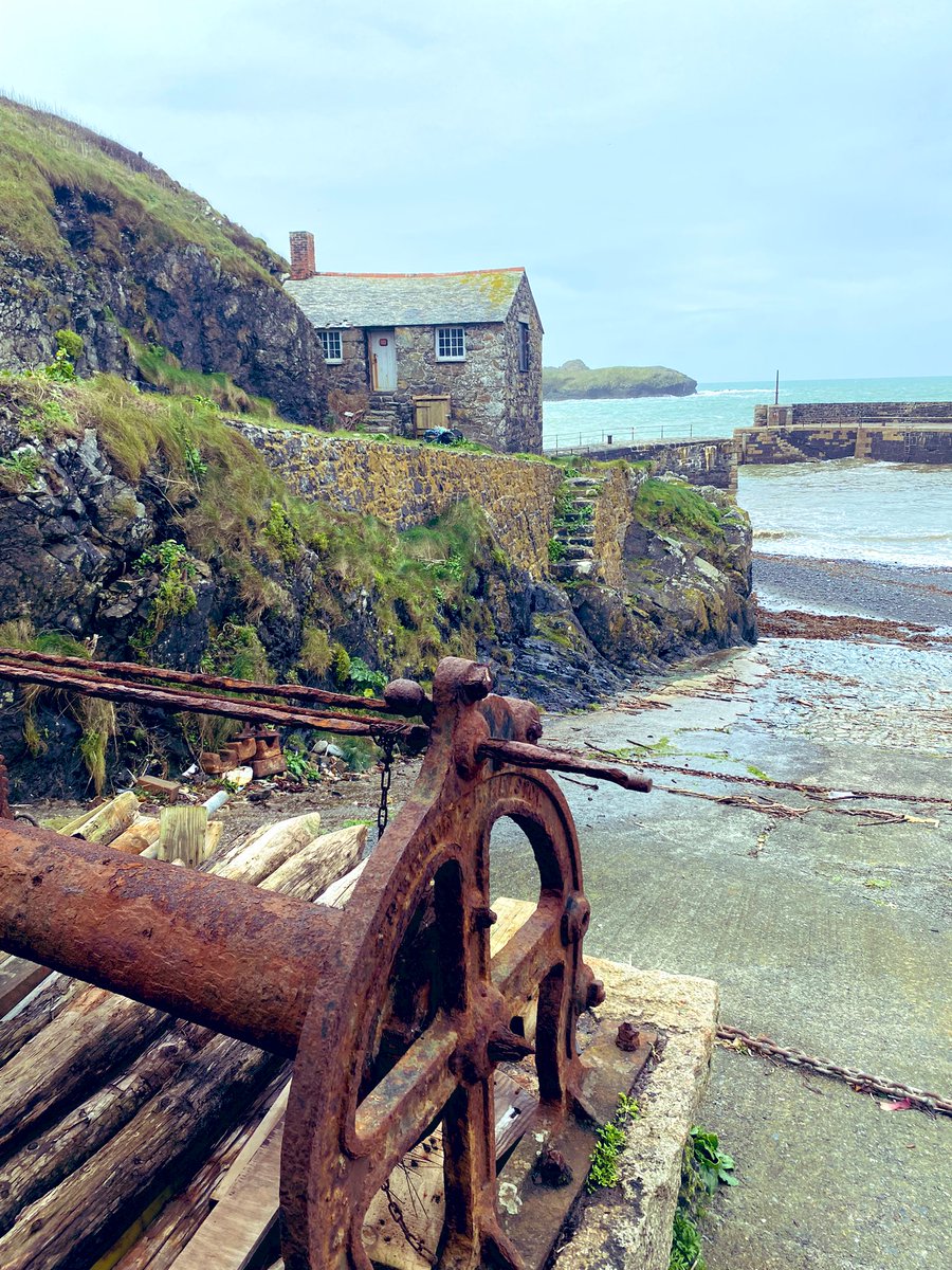 sidtaylor_26's tweet image. This morning walk @Mullionharbour @pennytaylor03 #cornishviews #cornwall