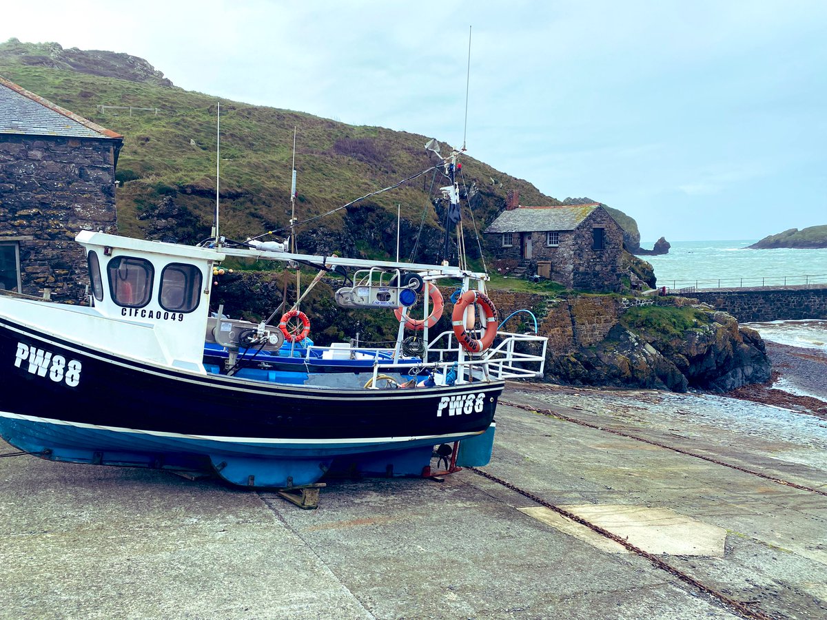 sidtaylor_26's tweet image. This morning walk @Mullionharbour @pennytaylor03 #cornishviews #cornwall