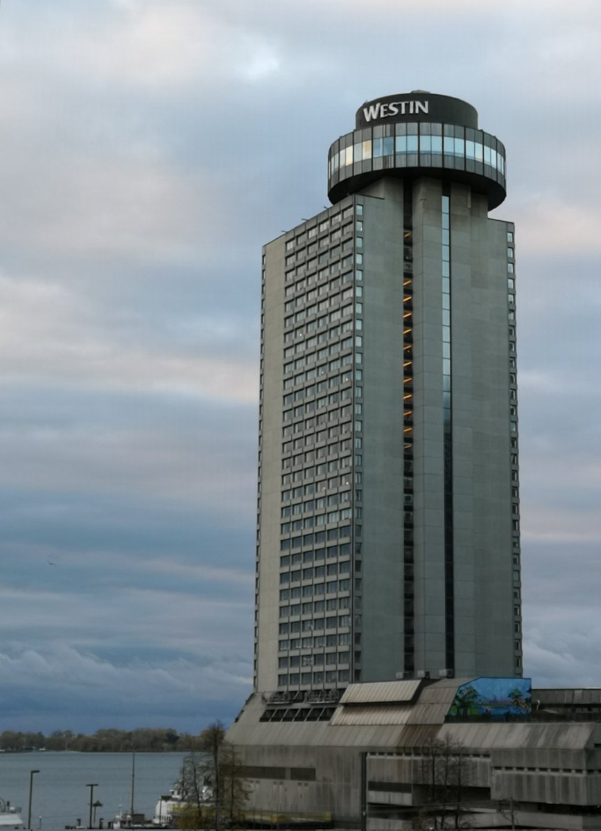 Goooood Morning #FungiFam ☕🍄

I hope you're all waking up today feeling fantastic !!
Going to be another great #WednesdayMorning
⛅
Put your best foot forward and get after WHATEVER'S in front of you today with passion 💯

#HaveaNiceDay