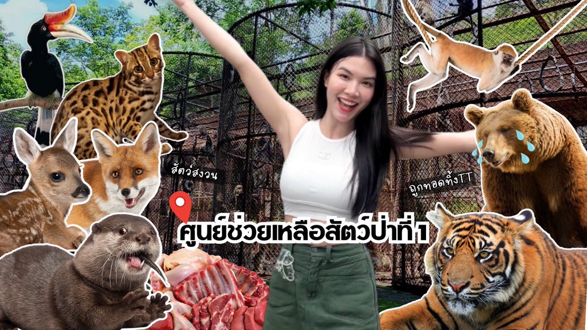 youtu.be/IYDsDsvtKSg?si…