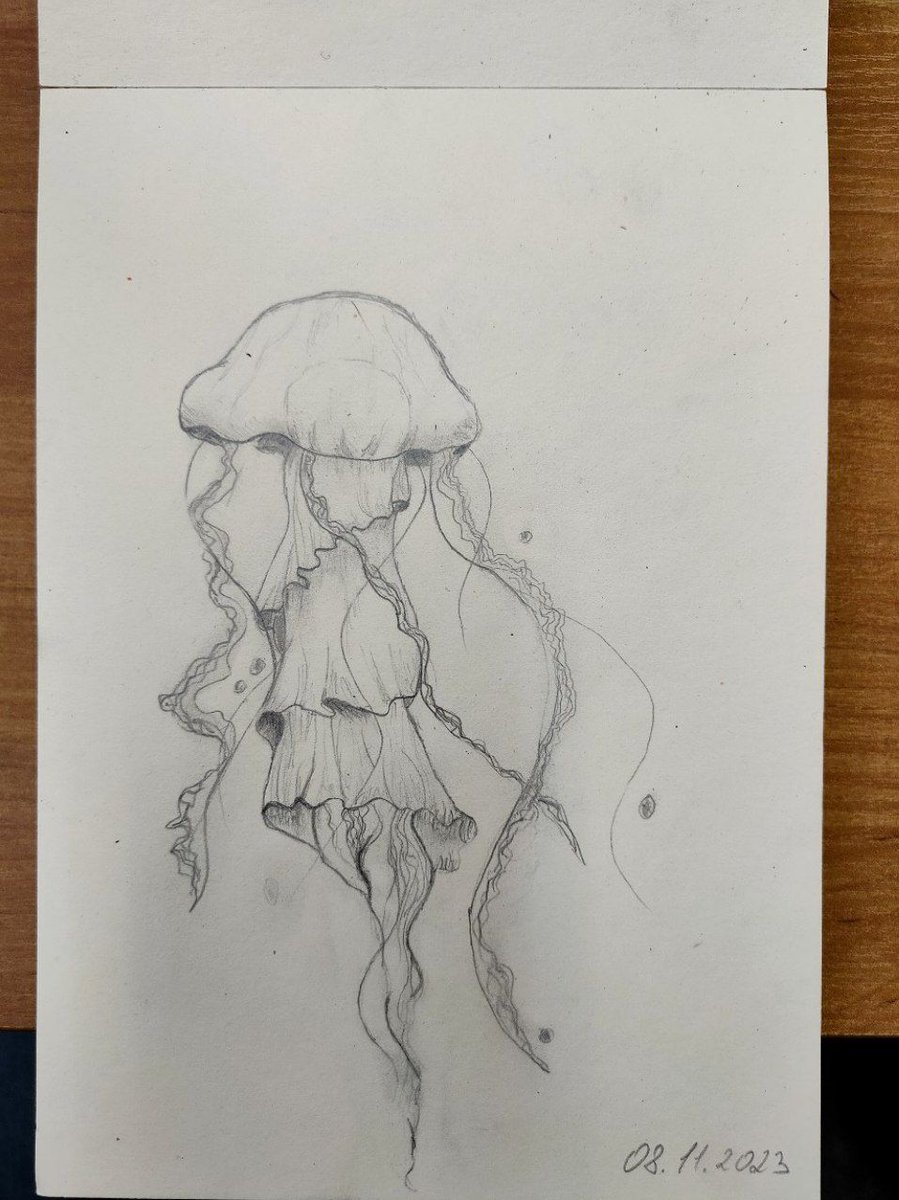 sphttfb05's tweet photo. on the first lesson I drew a perfect jellyfish. but on the second.... it's puow or coma (puma + cow). Initial it was really puma, but in one moment i saw the cow in its face, so... i drew what you can see ahahh
#drawing #art #cow #cougar #puma https://t.co/pC5FI0kfrL