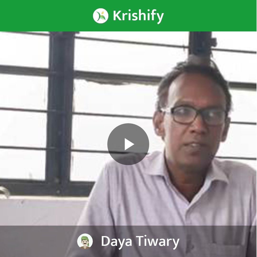 DayaReporter's tweet image. krishify.in/FYB8CiOEyEb
#Krishify