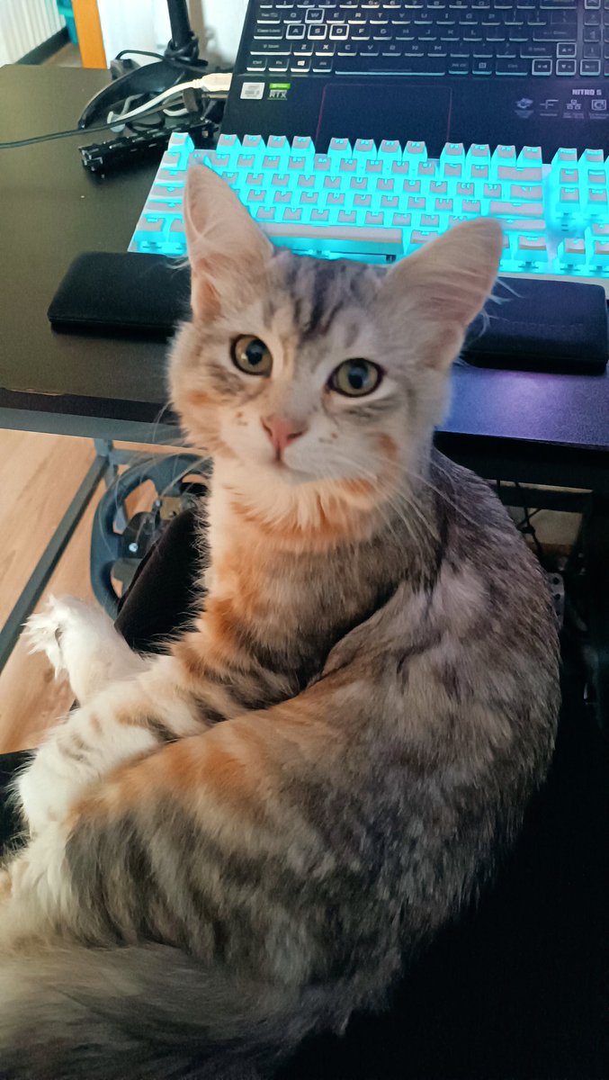 Darisu- (@darisu14) on Twitter photo 