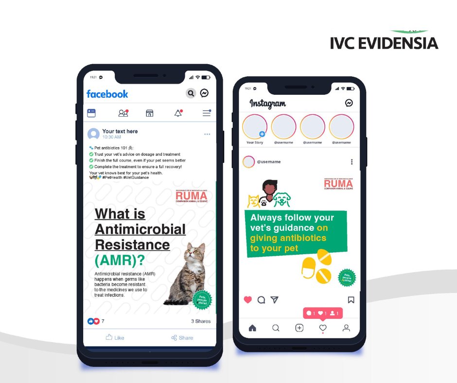 IVC Evidensia UK tweet media