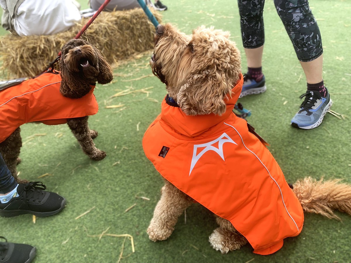 ThatDogUK's tweet photo. Today was a truly fun day, and we're so grateful to be a part of this amazing London community of pet lovers. Great to see so many dogs sporting brand-new harnesses and cosy coats. Why not get yours from https://t.co/nsN8XosDzy #DogsofUK #UKDogs #DogsofLondon #dogsofx #dogs https://t.co/DS04QbNNW2