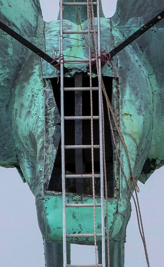 Jason Roberts tweet media