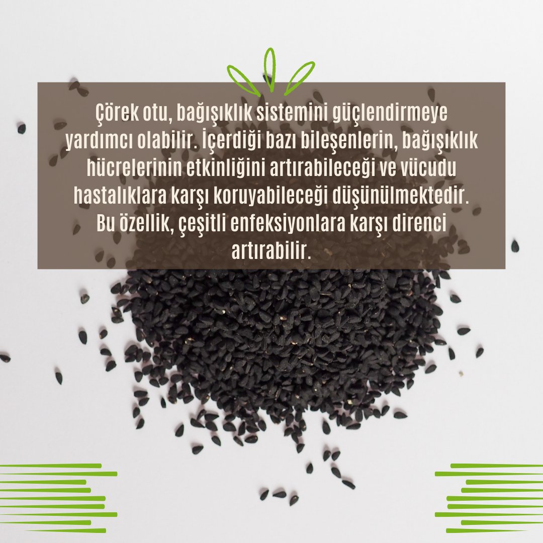 yesilsokakcom's tweet photo. Çörek otunun faydaları nelerdir ?
#çörekotu #bağışıklık #enfeksiyon https://t.co/RLlW7NaABH