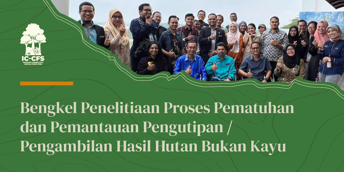 IC-CFS Malaysia tweet media