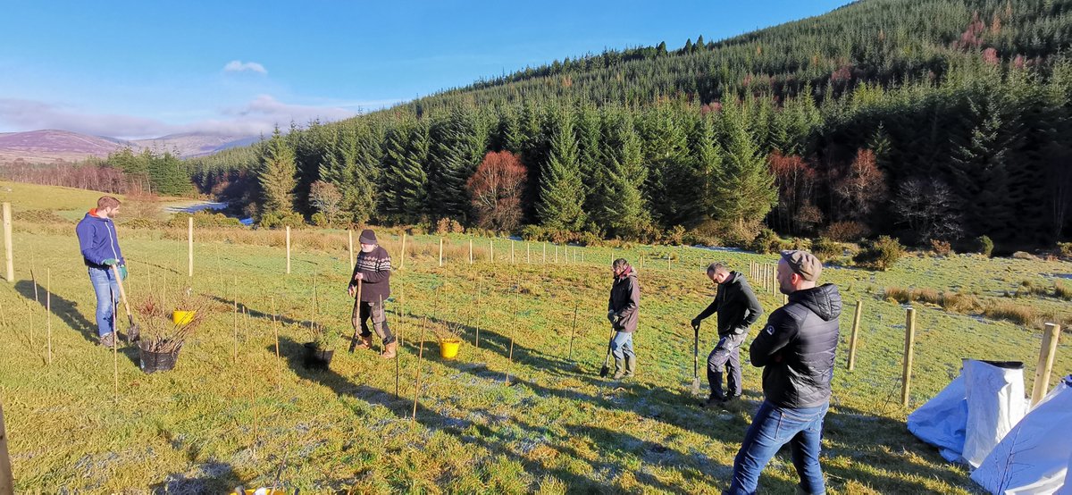 We are so sad about the passing of Andrew St.Ledger of <a href="/woodlandleague/">The Woodland League</a>. He inspired and taught us so much and he is gone far too soon. We will do our best to continue the work.  Here he is, showing us the way. 🌳  RIP 🌳
