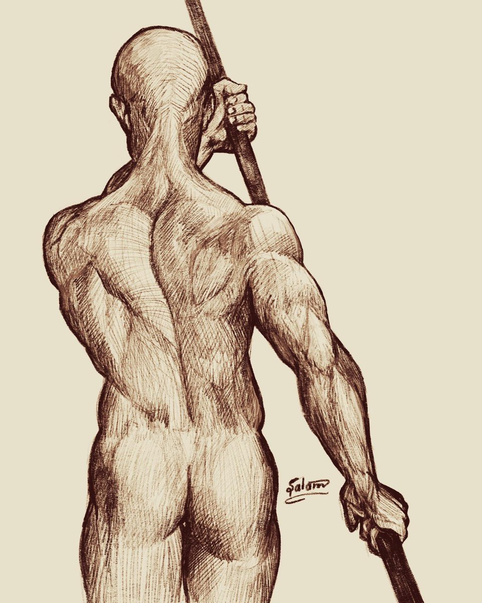 Study 
#sketchart #sketch #humanFigure #ArtistOnTwitter #muscles