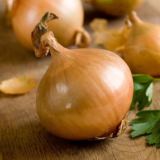 gransgardenseed's tweet photo. Add fresh flavor to your cooking and bake goods. You can grow these wonderful plants in ground or containers.  Seeds from https://t.co/JFNp4ZOjsK #vegetablegardenseeds #HerbSeeds #gardenseeds https://t.co/gT6fLiZ0RC