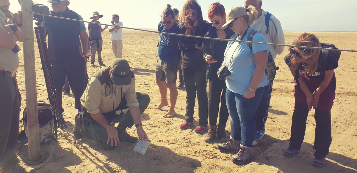 ¿Sabes que a través de las acciones de #CustodiadelTerritorio puedes contribuir a la conservación de los espacios naturales? Mañana te lo contamos en el Encuentro Final del Programa de Fomento de la Custodia del Territorio en Andalucía. Apúntate en info@andaluciacustodia.org