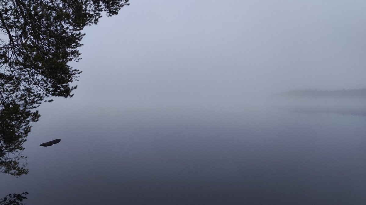 Ximmo's tweet photo. Harmaa sunnuntai, kirkkaampi tänään eli keskiviikko. https://t.co/V9j5XM0hyC