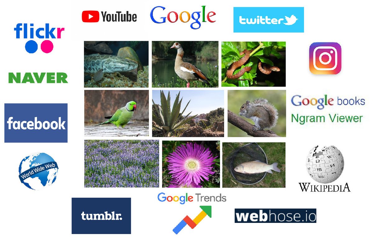 Invasion Culturomics and iEcology tweet media