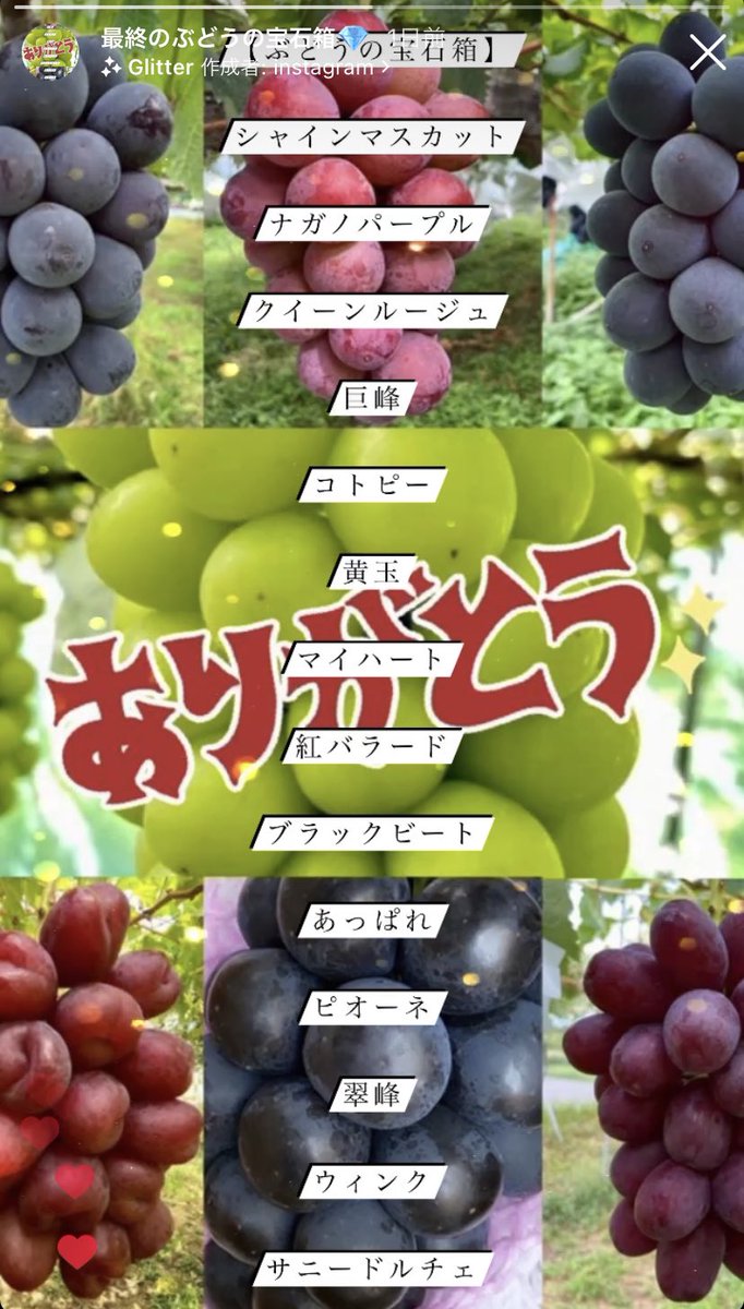 2100housekibako's tweet photo. 今週中に路地ぶどうを完全に収穫してしまうので💦💦
第273回プレゼントキャンペーン開催🍁

🍇応募方法🍇
フォロー＆
このツイートをリポストRT
〆切は９日
木曜日２４時まで

【訳あり旬のぶどうの宝石箱 １ｋｇ】

抽選で限定１０名様に‼️
完全無料でプレゼント🎁✨✨

旬のぶどうのお得な情報は
ぶどうの宝石箱公式LINE➡️ https://t.co/0f4CoowVsD

旬のぶどうの情報はインスタグラム➡️ https://t.co/LpPhEQCazX

🍇ぶどうの宝石箱オンラインストア🍇

ベイス➡️ https://t.co/dDpp9mrTfE

メルカリ➡️ https://t.co/SAyAlZC88Y