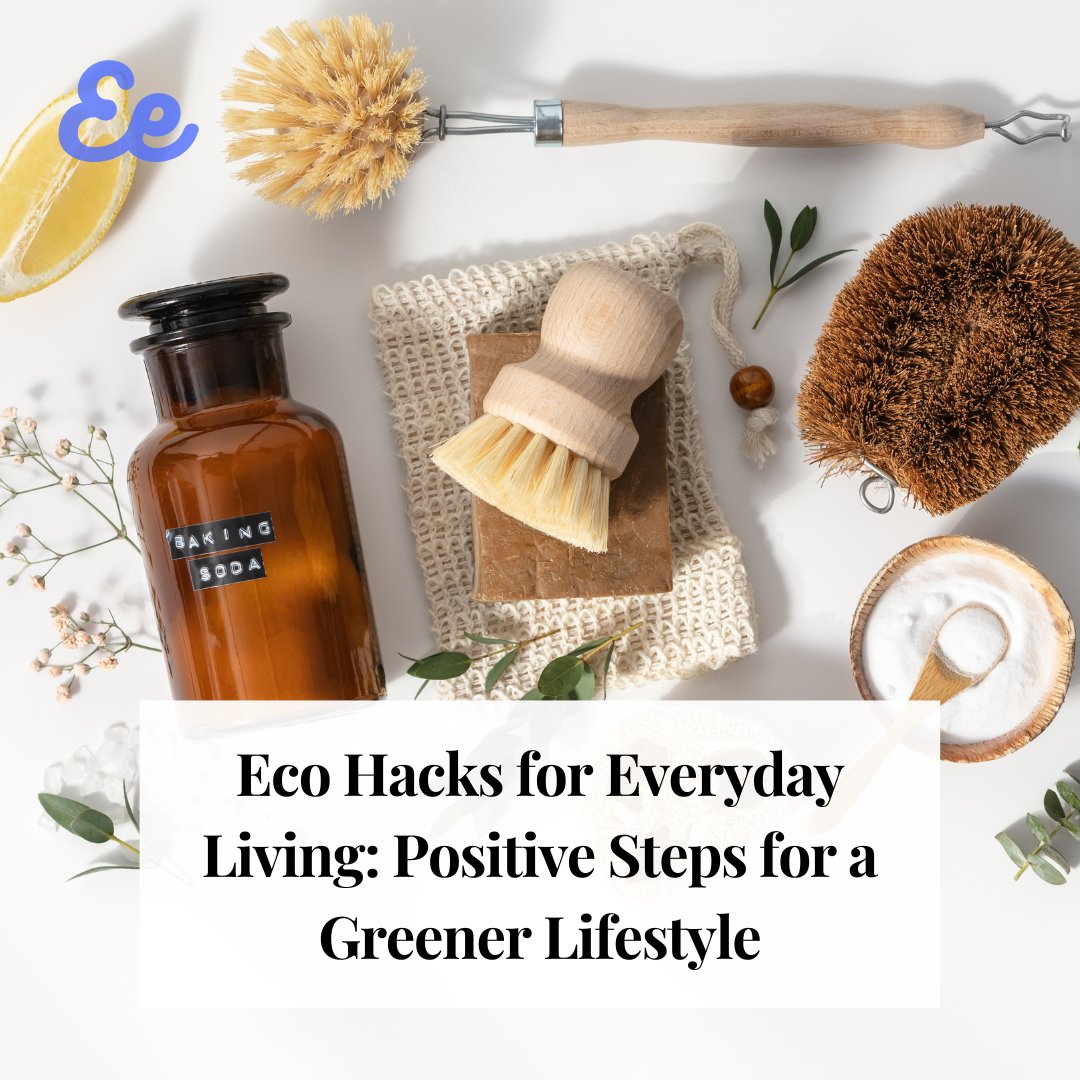 EarnecoApp's tweet photo. In this blog post, we will share some simple and engaging eco hacks for everyday living that will help you take positive steps towards a greener lifestyle. Let's work together towards a more sustainable future, one positive step at a time. 

https://t.co/cdWpUhkFQK https://t.co/qhi6cnGib1