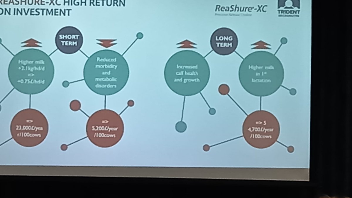 TotalDairy (@totaldairy) on Twitter photo In the @TMircoNutri workshop we are told that 'High return on investment both in the short and long term for rumen protected choline'
#dairy #dairyindustry #herdhealth #calfhealth
<a href="/forage_tech/">Forage Technology</a> In the @TMircoNutri workshop we are told that 'High return on investment both in the short and long term for rumen protected choline'
#dairy #dairyindustry #herdhealth #calfhealth
<a href="/forage_tech/">Forage Technology</a>