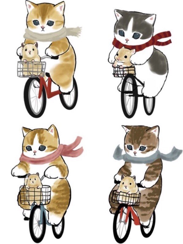 ground vehicle bicycle no humans scarf cat white background simple background  illustration images