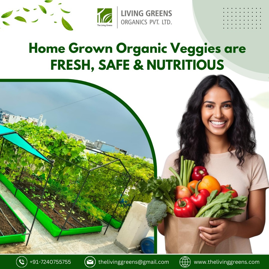 living_greens's tweet photo. GROW ORGANIC, EAT FRESH, LIVE HEALTHY – the recipe for a vibrant life! 🌿🍅🏋️♂️
.
Visit Us: https://t.co/lS6faQBI8t
.
#thelivinggreens #livinggreensorganics #urbanorganicfarming #organiceaters #schoolfarming #Urbanfarming #Urbanfarmingindia #futurefood #homegrownveggies #Jaipur https://t.co/nlDwOddP56