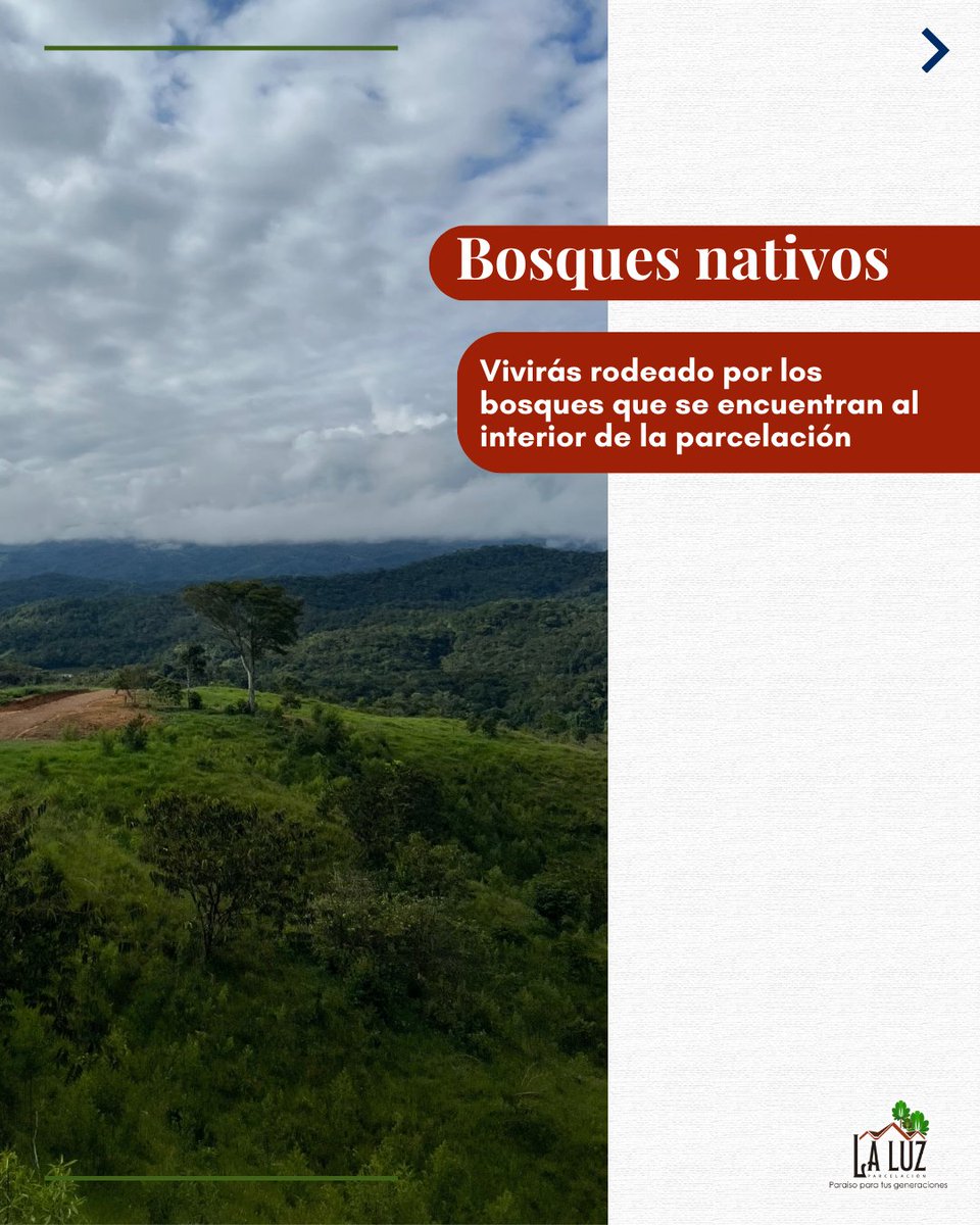 creabht's tweet photo. 🌿Aquí vivirás experiencias únicas rodeado de plenitud natural, tu estilo de vida cambiará para siempre!
#estilodevida #naturaleza #lotesenvanta #Antioquia #sanrafaelantioquia #inversiones #inversion https://t.co/7w8gPFuWBI