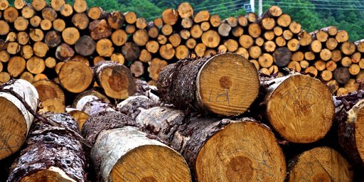 Forest Sector Outlook – September 2023 Quarter... tinyurl.com/2aju4xa3 #Forest #Russiawar #Ukrainewar #global #forestsector #globaleconomicgrowth #trade #ifi_news #wood #lumber #trees #nature
