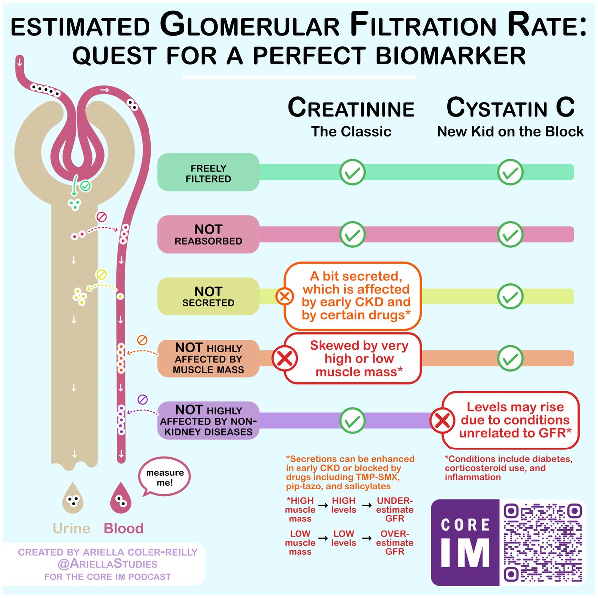 🚨New episode on CKD staging🚨 Cr vs. Cystatin C! Which is better to assess eGFR? What are pros & cons of each? 🎧: link.chtbl.com/CKD 🗒️: bit.ly/4709e5z @ACPIMphysicans CME: bit.ly/CIMCME Sponsor: @Pan_Financial