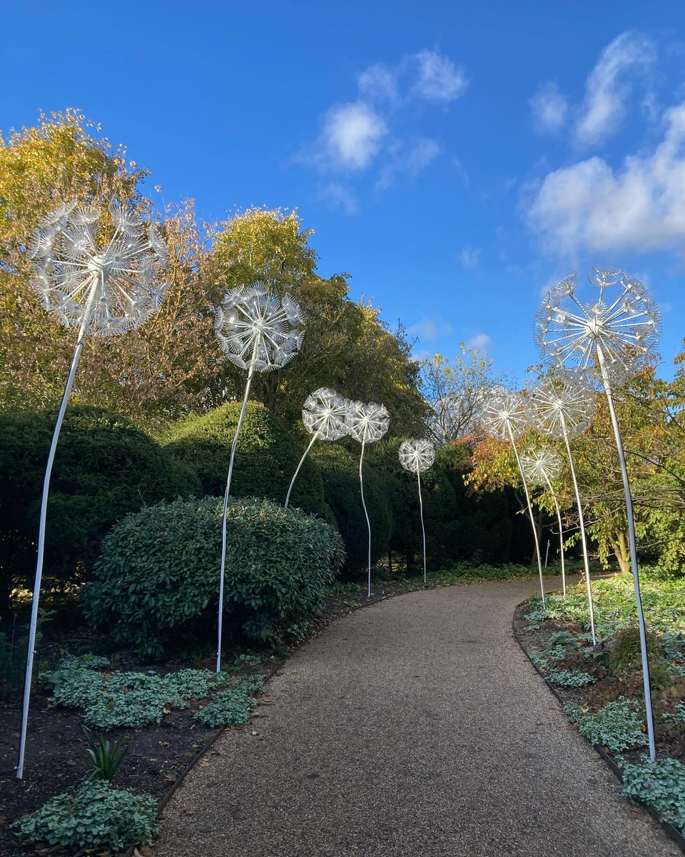 AngleseyAbbeyNT's tweet photo. #AAWinterLights set-up
Thereโs a real sense of anticipation in the air as preparations for Winter Lights beginโจ
Enjoy an autumnal walk around the grounds and get a first glimpse of the installations & sculptures during the day๐
https://t.co/7lzVCU1Ufn
๐ธNT/Issy Vetoshkina https://t.co/QhHLteMuZP