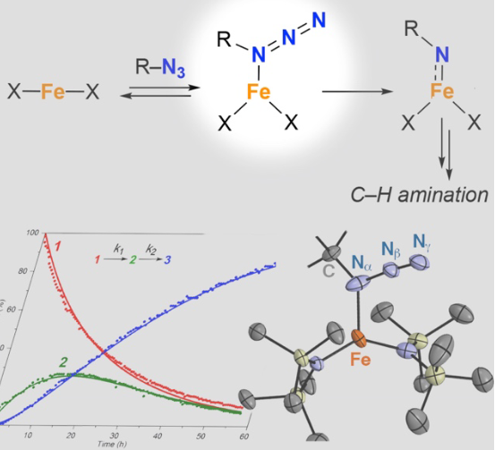 👨‍🔬Very happy to finally share my last project from my PhD with <a href="/albrecht_lab/">AlbrechtResearch</a> <a href="/DCBPunibern/">DCBPunibern</a> 👨‍🔬

🔟Also a significant milestone being my 10th paper 🔟

📰 Please check it out here 📰

…mistry-europe.onlinelibrary.wiley.com/doi/abs/10.100…

#phdchat #phdvoice #realtimechem #AcademicTwitter #Chemistry #phdlife