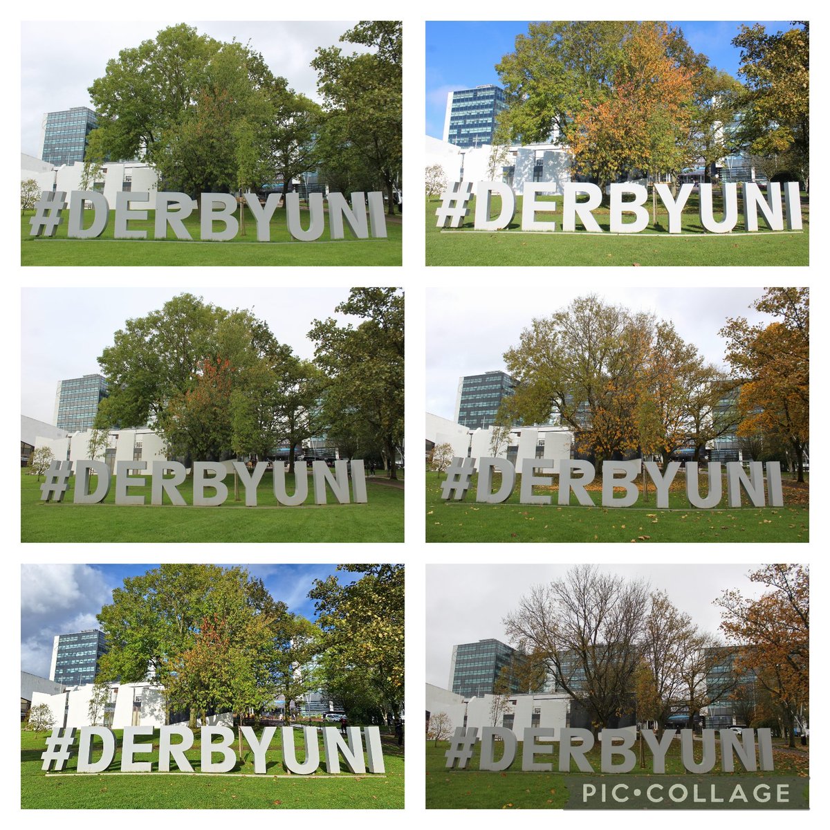 A favourite #occupation for me is #photography, particularly #naturephotography. Since October I've been taking a once a week photo @DerbyUni to capture the changes of #Autumn. Today at #OTWeek2023 Wellbeing Wednesday I put my pictures together into a collage. 💚 Happy times.