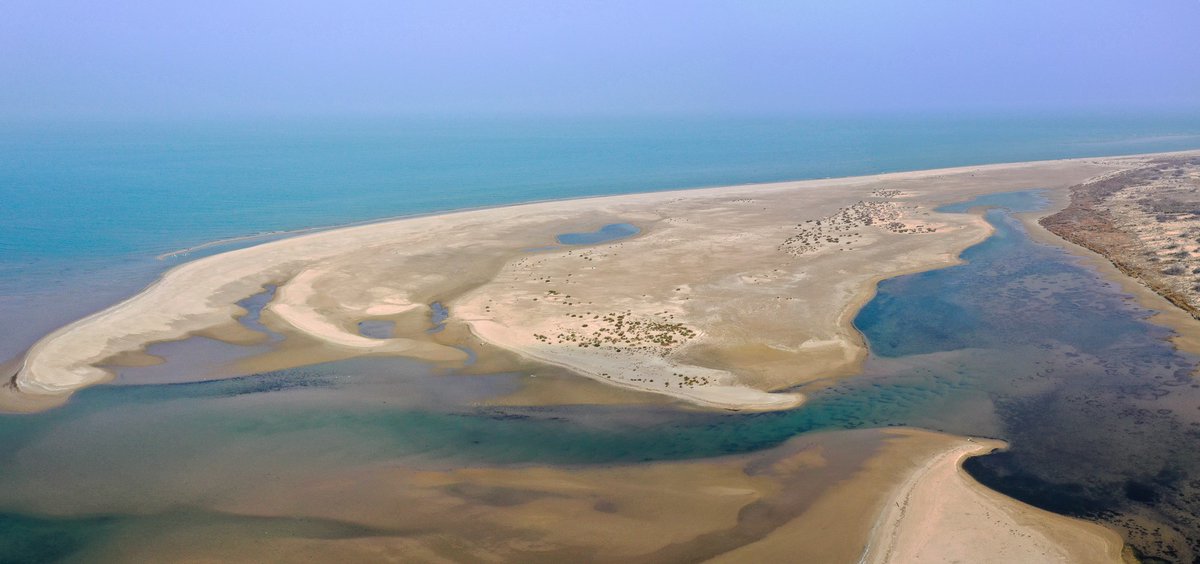 Estem treballant en futures iniciatives per a la gestió responsable del #DeltadeEbre i us necessitem! 💪

Necessitem la vostra opinió i percepcions vers aquesta zona tan singular i meravellosa! 😊

Ens ajudeu responent una enquesta o a fer-ne difusió? 🙏 👉shorturl.at/qKT24