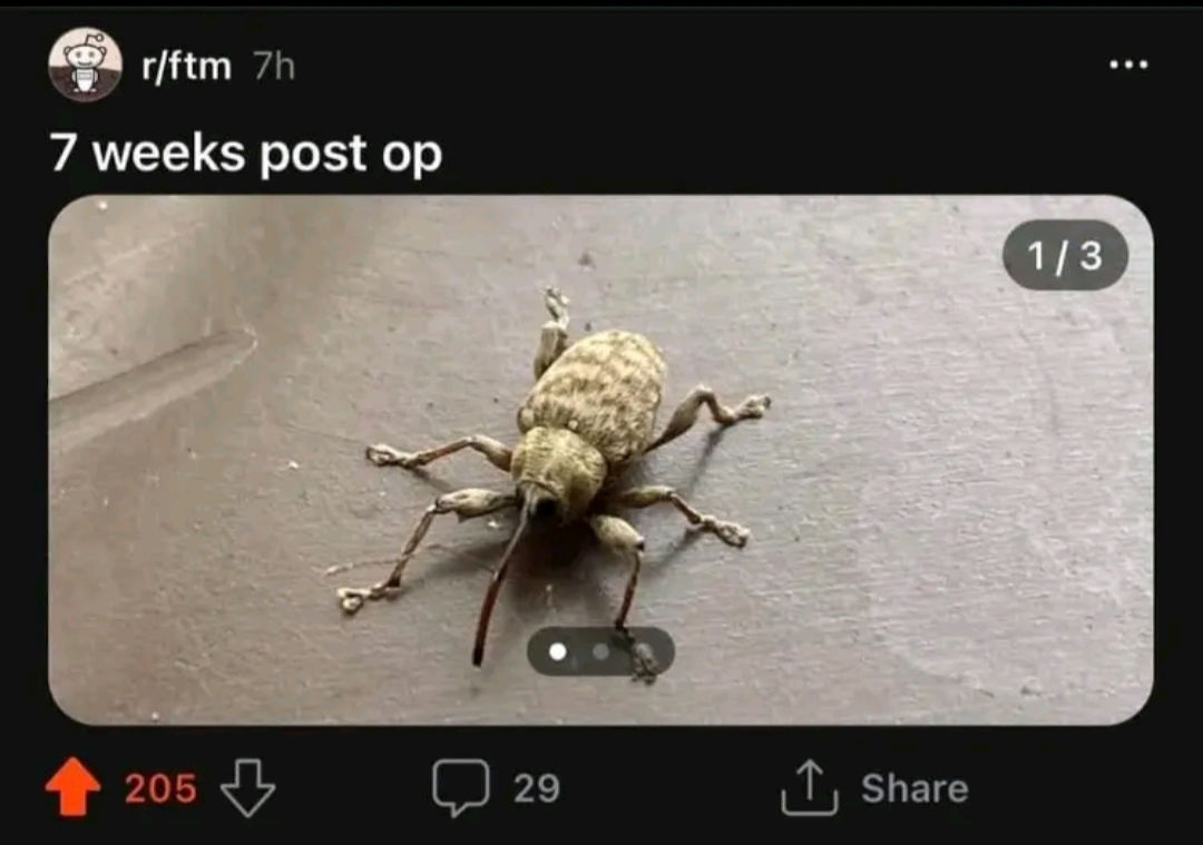 Stew🥘Enthusiast tweet media