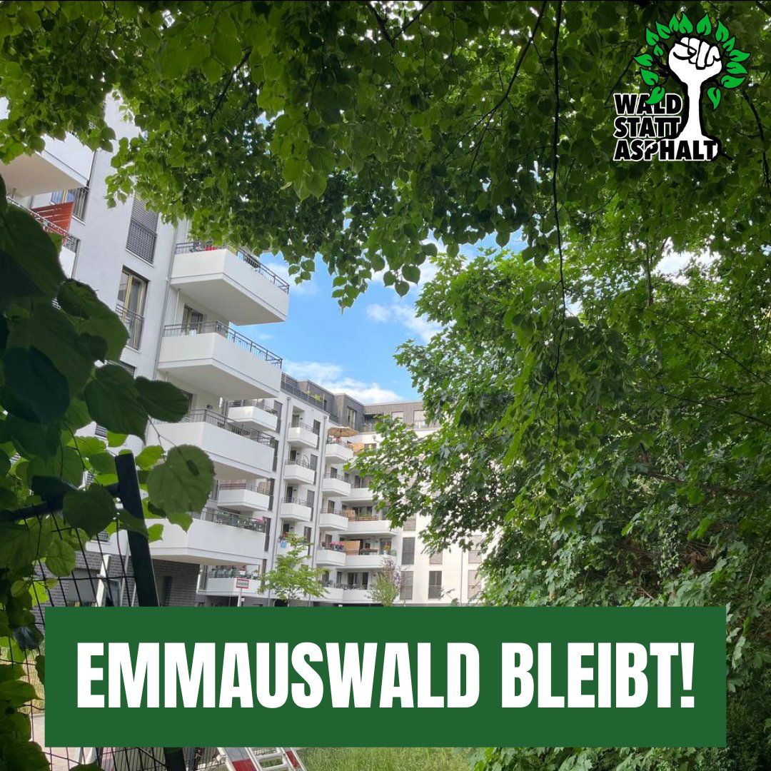 Emmauswald bleibt! 🌳

Mitten im Herzen von #Berlin Neukölln ist eine kleine grüne Insel entstanden: Auf einem Teil des ehemaligen Emmausfriedhofs ist ein struktur- &amp; artenreicher #Wald gewachsen - der @EmmausWald! 💚

🧵 #GemeinsamGegenDieRodung