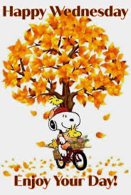 <a href="/auds052557/">Audrey 🇨🇦 Fan Account</a> Good Morning Audrey. Happy Wednesday with smiles and happiness 
#CanYamanHappyBDay 
#HappyBdayCan