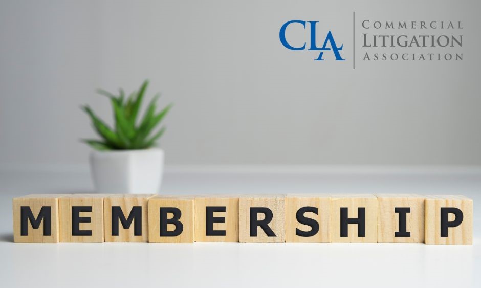 Become a member and support the country’s only national group dedicated to striving to advance the interests of all those involved in commercial litigation. Join now via our website, or email hello@comlit.co.uk.  Membership is free. bit.ly/3Pw1S43