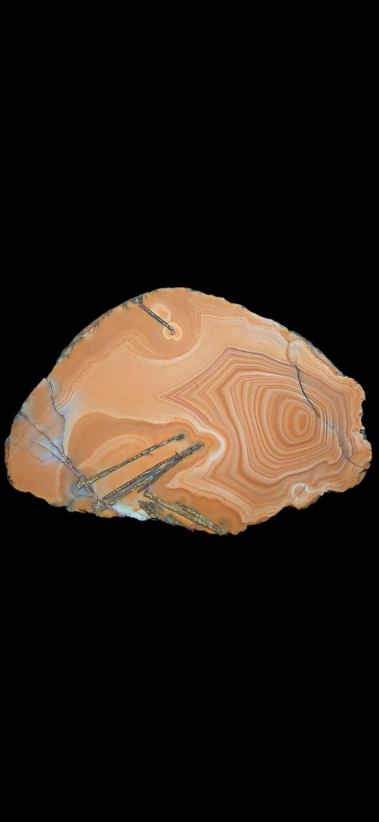 AgateScotland's tweet photo. The "zoning" of banding and other structures within Lunan agates, as a result of including blade-like crystals of calcite, is highly varied and these types of agate are among those that fascinate me most https://t.co/mHvh83TUMC