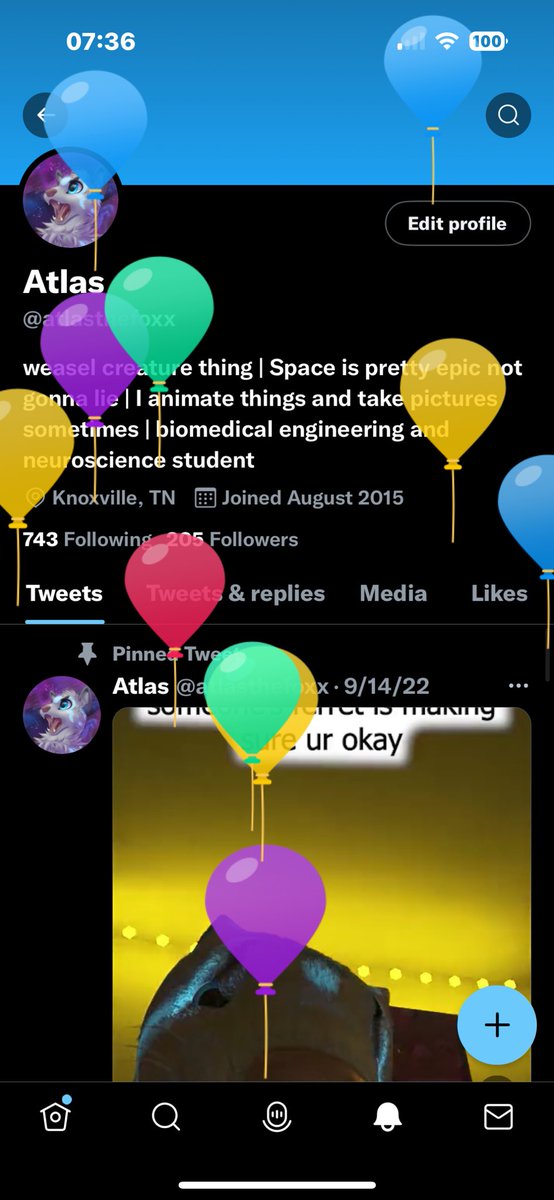 atlasthemarten's tweet photo. +1 to age but what does turning  22 allow me to do!? https://t.co/zx7werDrw0