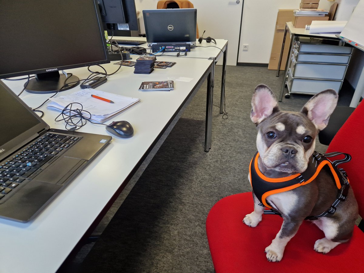 coc_ag's tweet photo. Wir müssen was fürs Büroklima tun!
Ne Pflanze?
Ein Luftbefeuchter?
Schöne Bilder an den Wänden?
Nö!
Wir setzen nun auf den behaarten #FeelGoodManager'
'Hope' 🐕 bereichert nun unseren Büroalltag - natürlich zusammen mit ihrem Herrchen und unserem Kollegen Max.
Best 'Vibes' 😁 https://t.co/uj2YfvsJCL