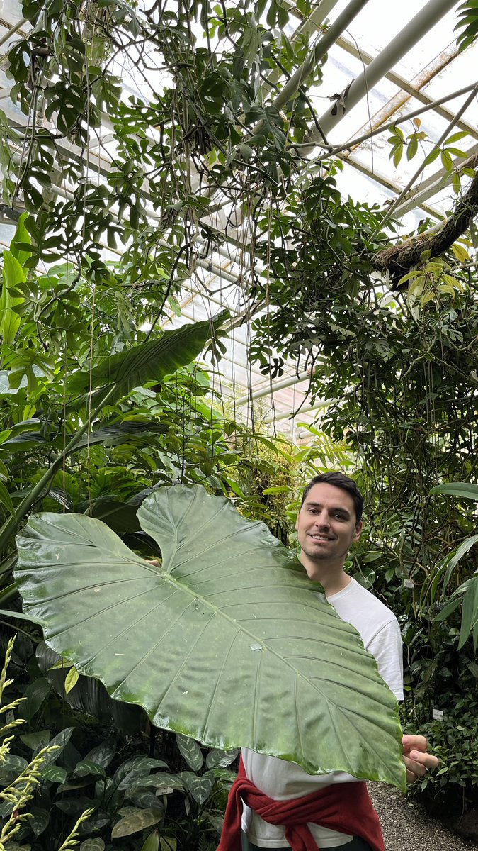 plants.rs tweet media