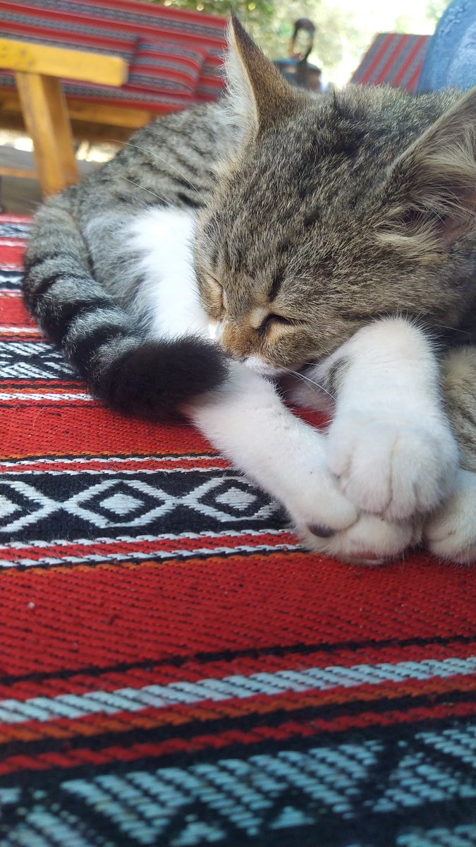 صاحبي بالحرب🥹🥲
#غزة
#طوفان_الأقصى