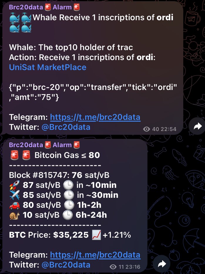 yo，whale is moving，check the gas