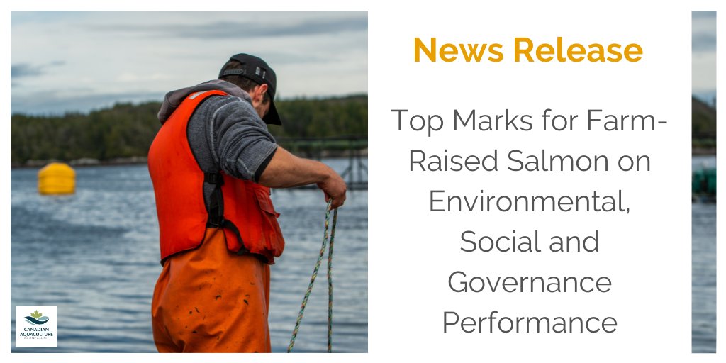 Canadian Aquaculture Industry Alliance (CAIA) tweet media