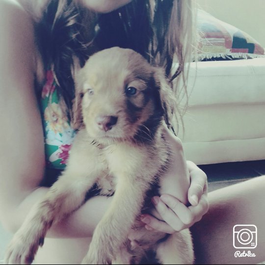 Margarida🌼 tweet media