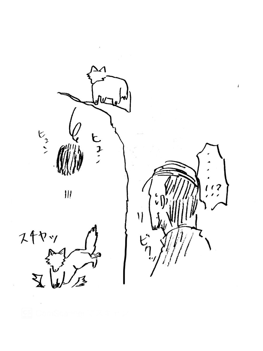 ゆうこと聞かないスッギ 