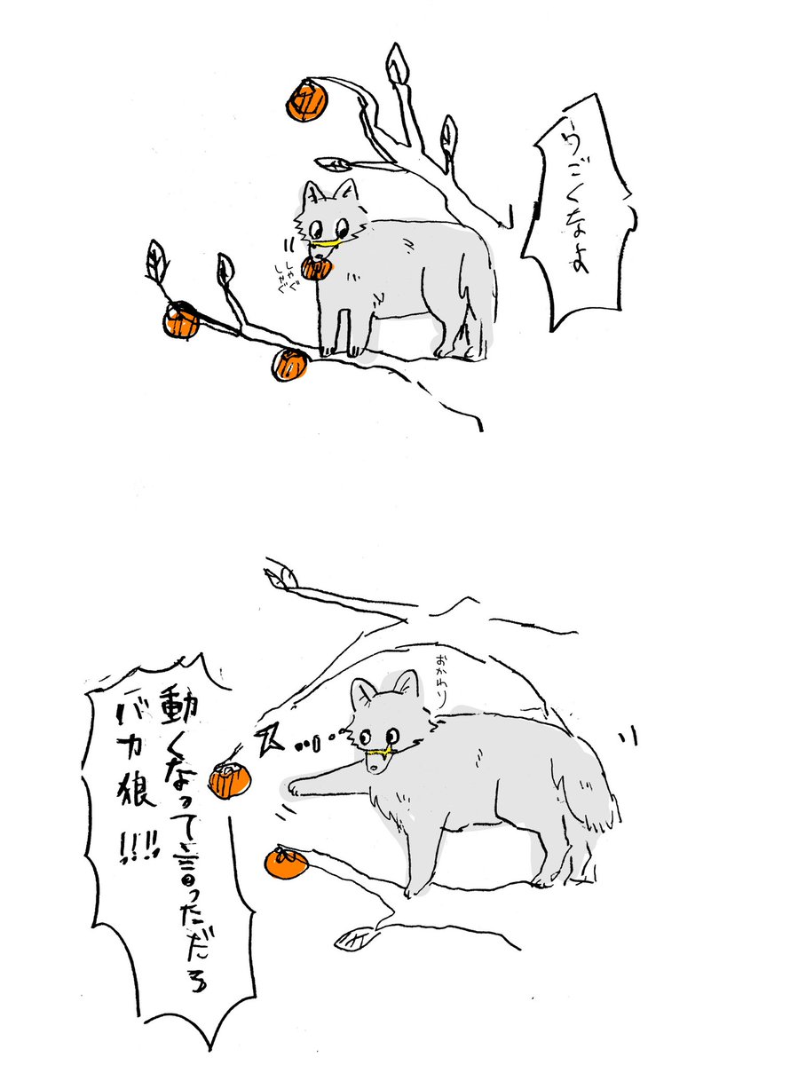 ゆうこと聞かないスッギ 